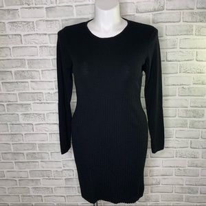 J. Jill Merino Wool Sweater Dress Petite M